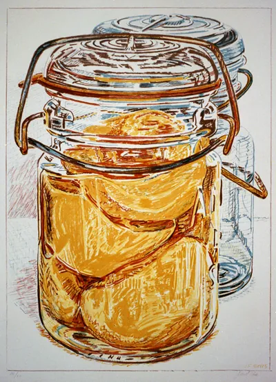 [Preserved peaches] / Janet Fish.