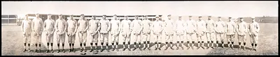 St. Louis Cardinals baseball team panorama