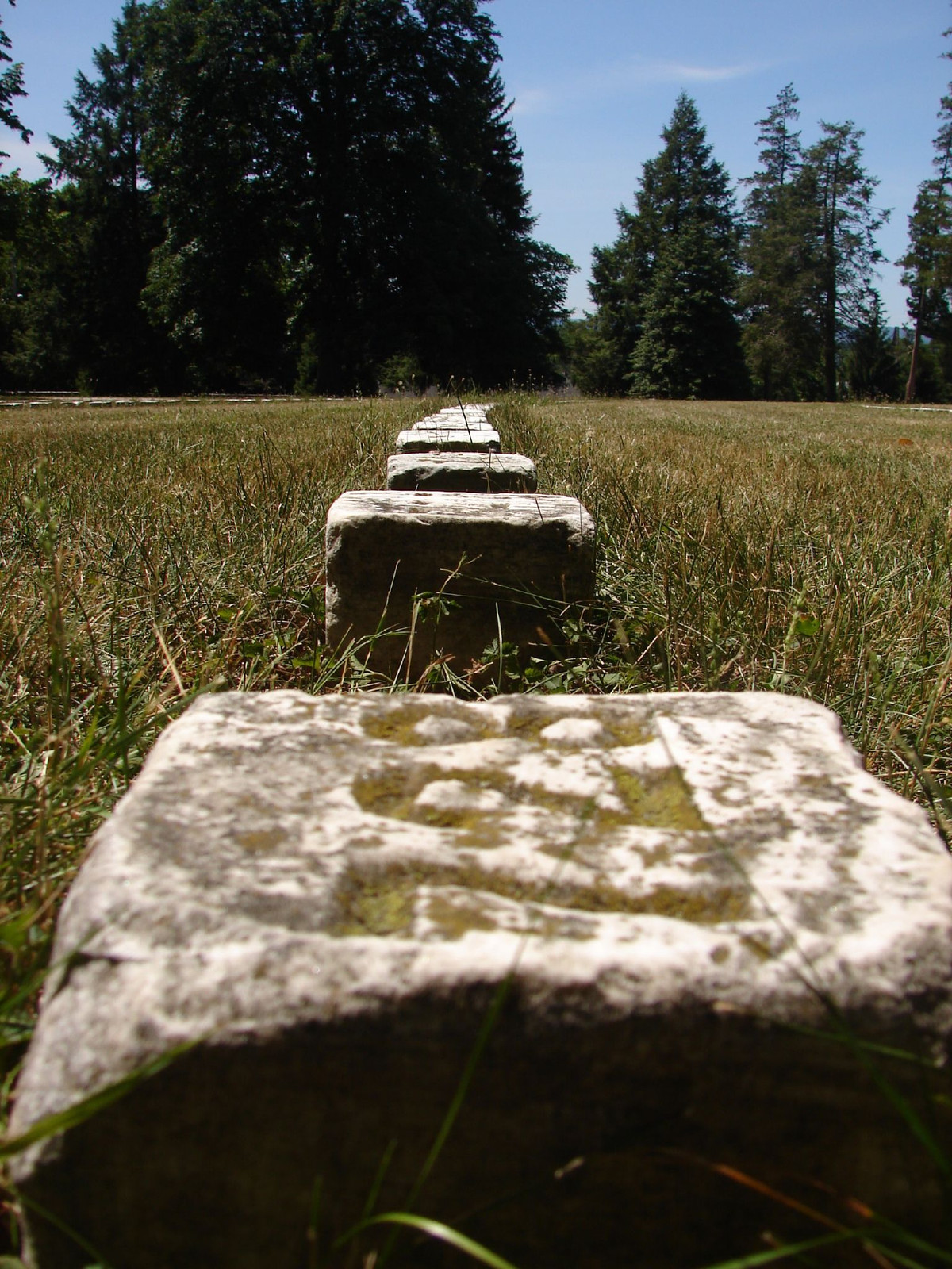 Row of worn stone markers in grass beneath tall trees — historic image
