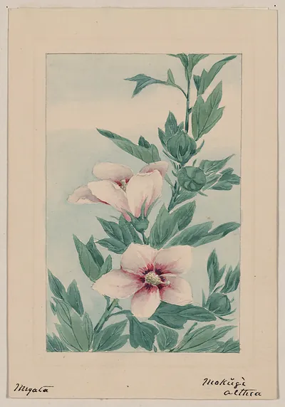 [Japanese drawing]