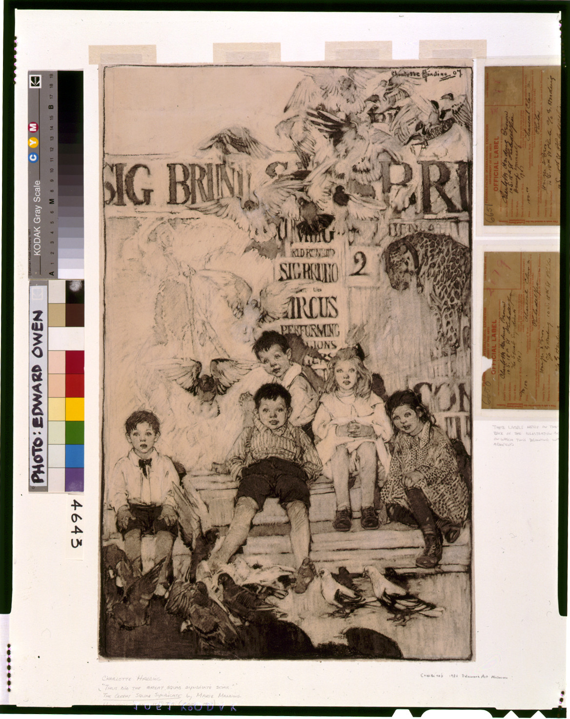 Thus did the Great Squab Syndicate soar — historic drawing
