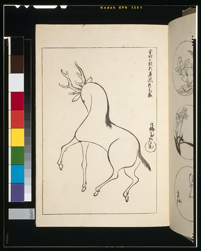 [Stag looking for its mate]