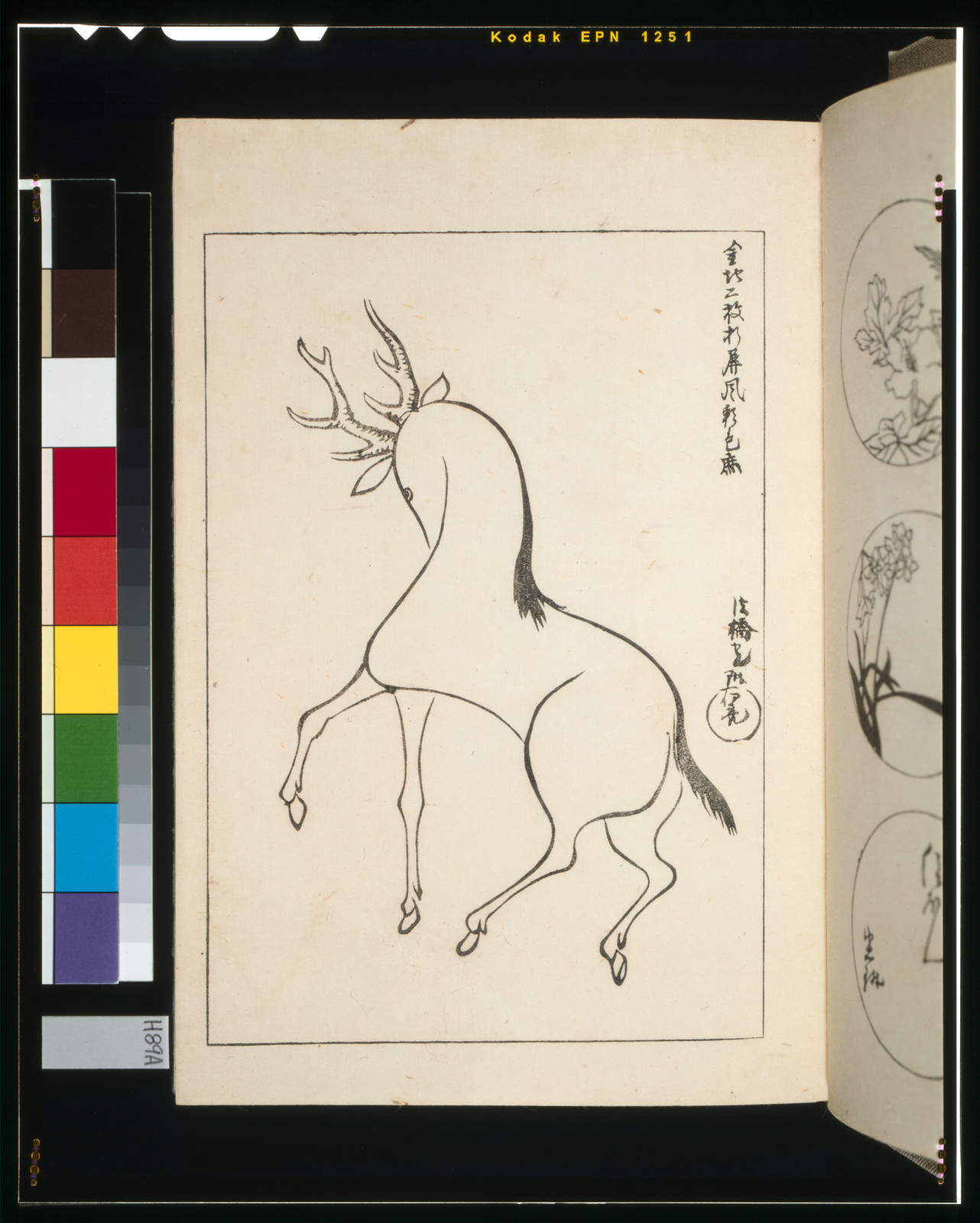 [Stag looking for its mate], [not before 1815] — historic print