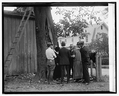 Horse Chestnut tree planted by Geo. Washington [at Fredericksburg, Va., 10/1/25]