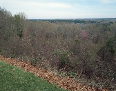 Wooded valley view from grassy overlook, late winter