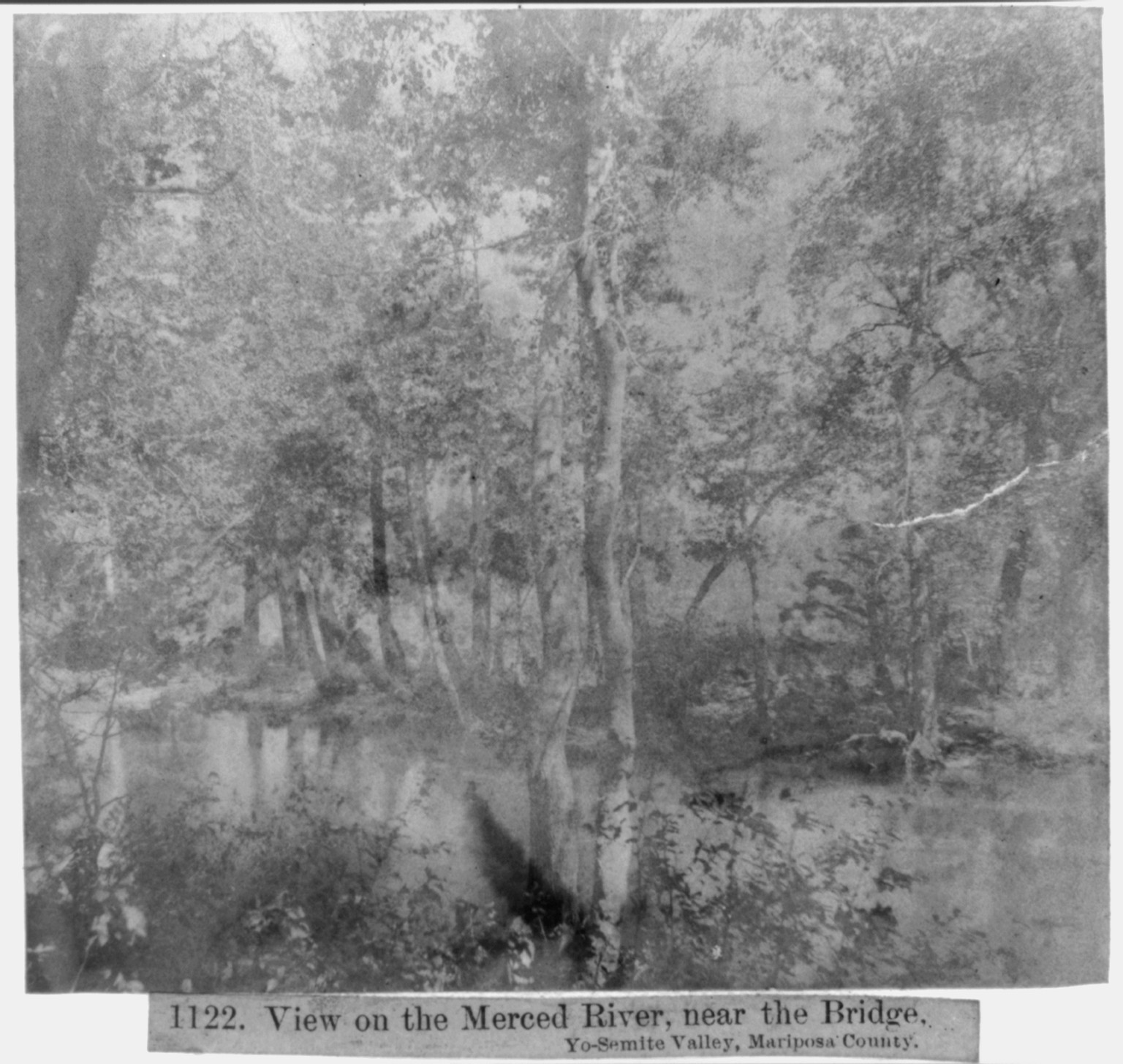 View on the Merced River, near the Bridge - Yosemite Valley - Mariposa County, [published 1866] — historic photograph