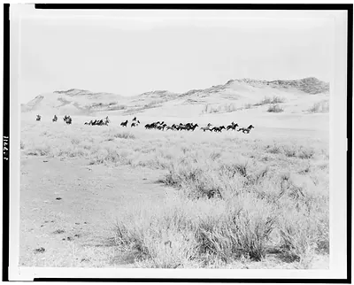 [Horses somewhere in the western U.S.] / Photo by Osborn's Studio, Dickinson, N.D.