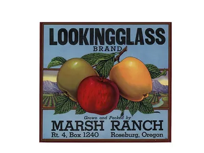 Lookingglass Brand Apples Label, Marsh Ranch, Roseburg Oregon