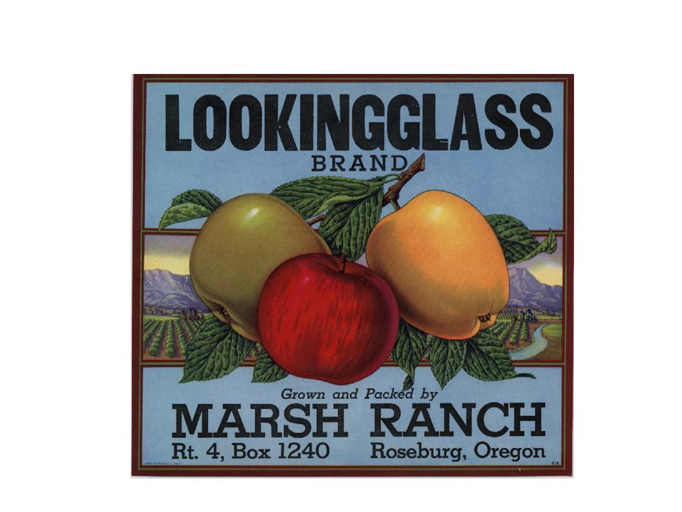 Lookingglass Brand Apples Label, Marsh Ranch, Roseburg Oregon — historic image
