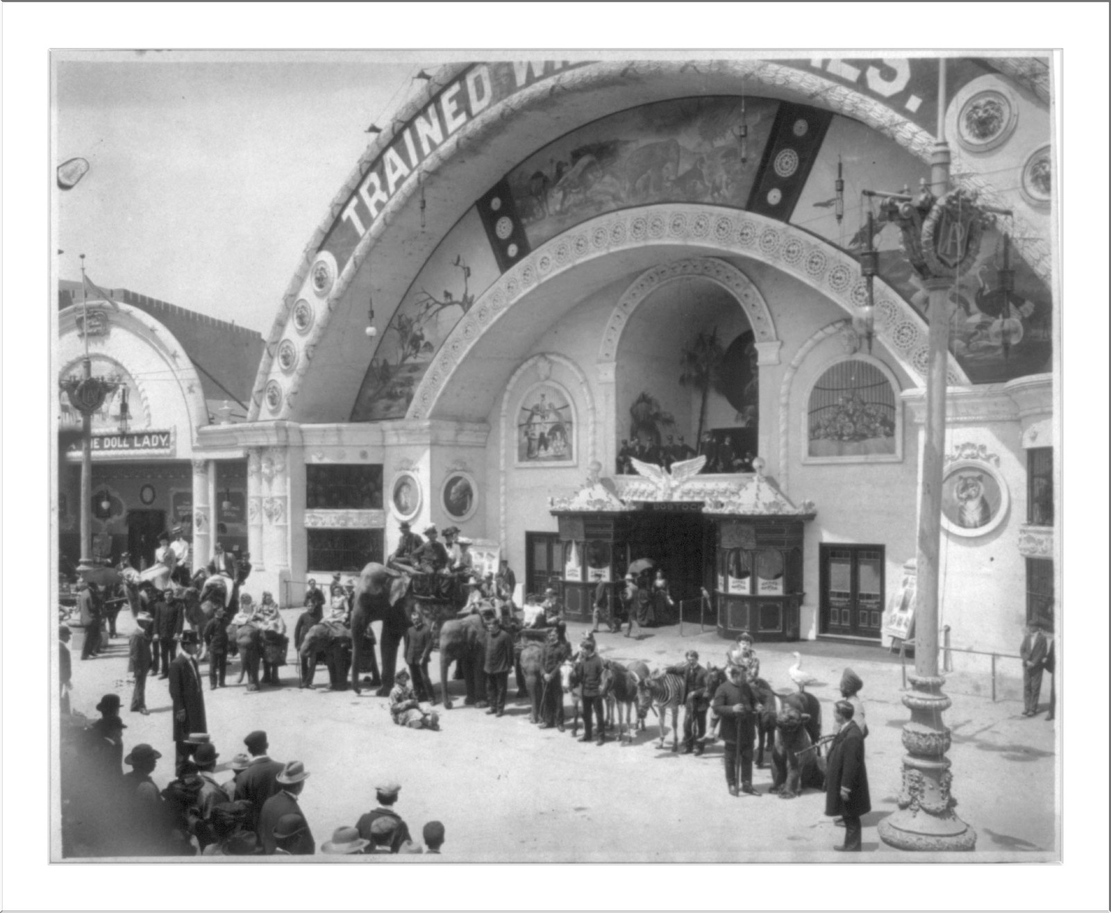 World's Columbian Exposition, Chicago, Ill.: trained animals lined up, with trainers, clowns and others, [1892-93] — historic photograph