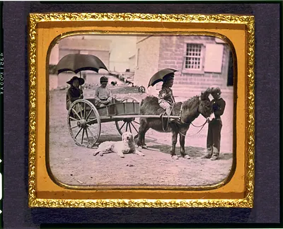 [Children of Lt. Montgomery C. Meigs, in donkey cart with dog, probably Mary Montgomery, Charles, Montgomery, and John Rodgers]