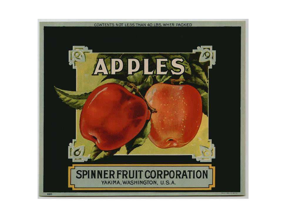 APPLES crate label, Spinner Fruit Corporation, Yakima, Washington — historic image
