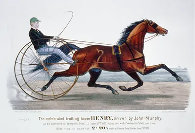 Celebrated trotting horse Henry, driven by John Murphy: As he appeared at Prospect Park, L.I. June 27th 1872, in his trot with Goldsmith Maid and Lucy
