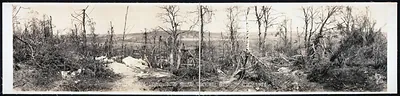 Belleau Woods, Belleau Torcy Hill, France, 1919