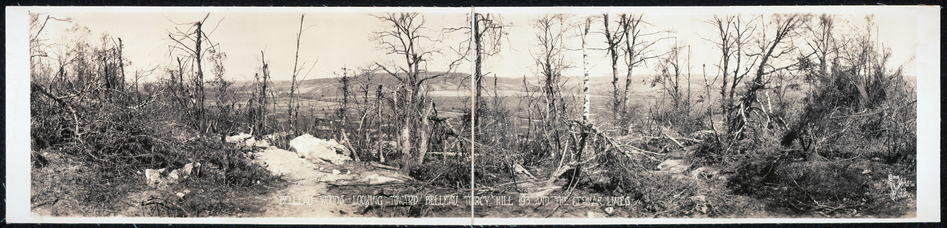 Belleau Woods, Belleau Torcy Hill, France, 1919, 1919 — historic image