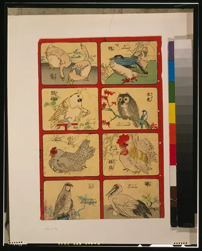 [Various types of birds]