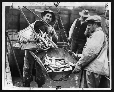 Men unloading fish from baskets on a market dock