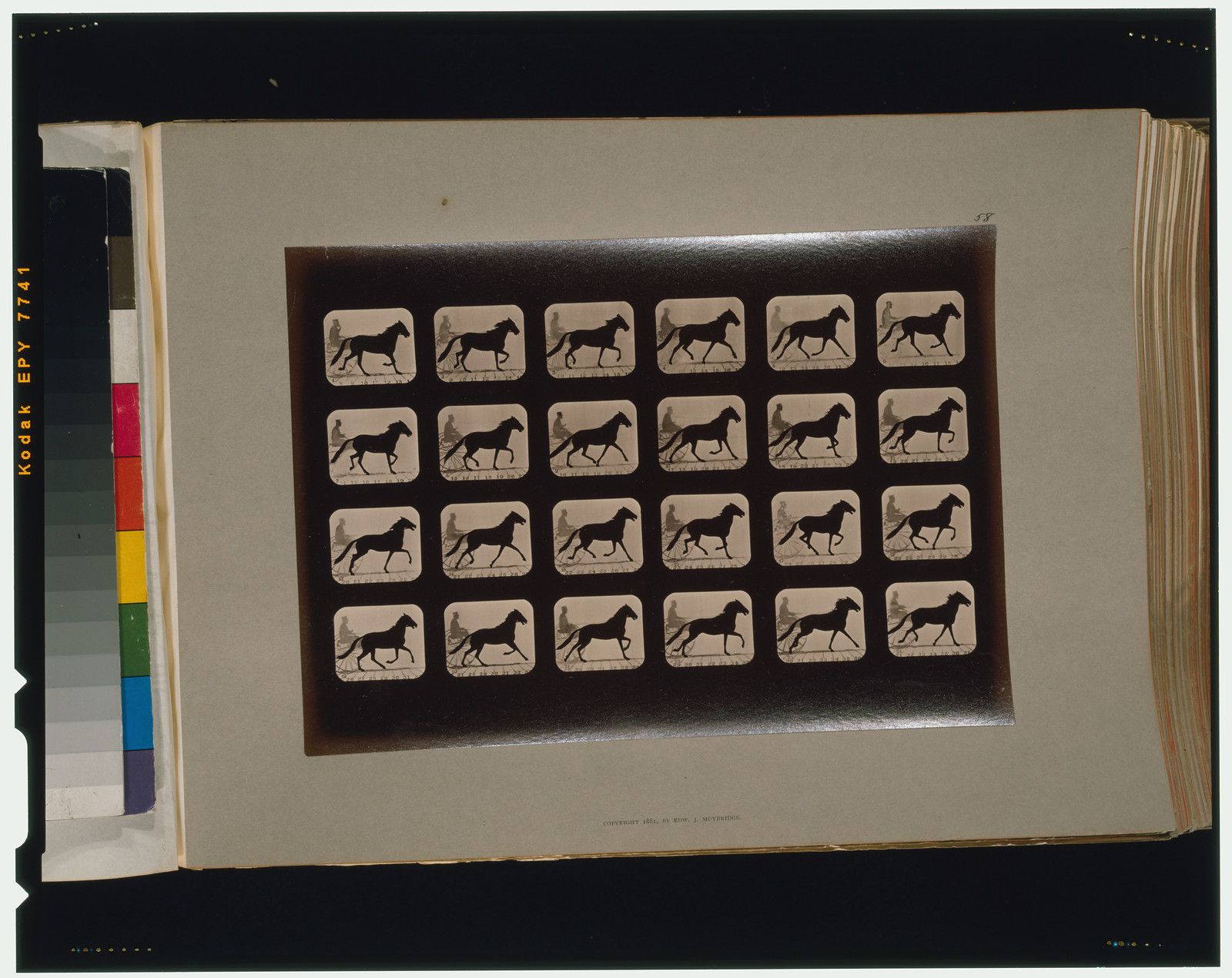 Horses. Trotting change to running, [San Francisco] : Muybridge, c1881. — historic photograph