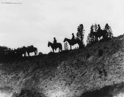Yellowstone National Park: Pack train near Raven Creek