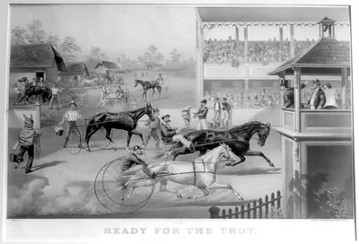 Ready for the trot: bring up your horse!""