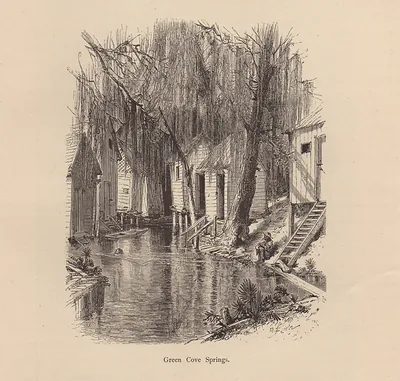 Wooden houses over a waterway beneath draping trees