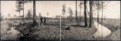 Seven Pines Battlefield Fair Oaks, Virginia, 1912