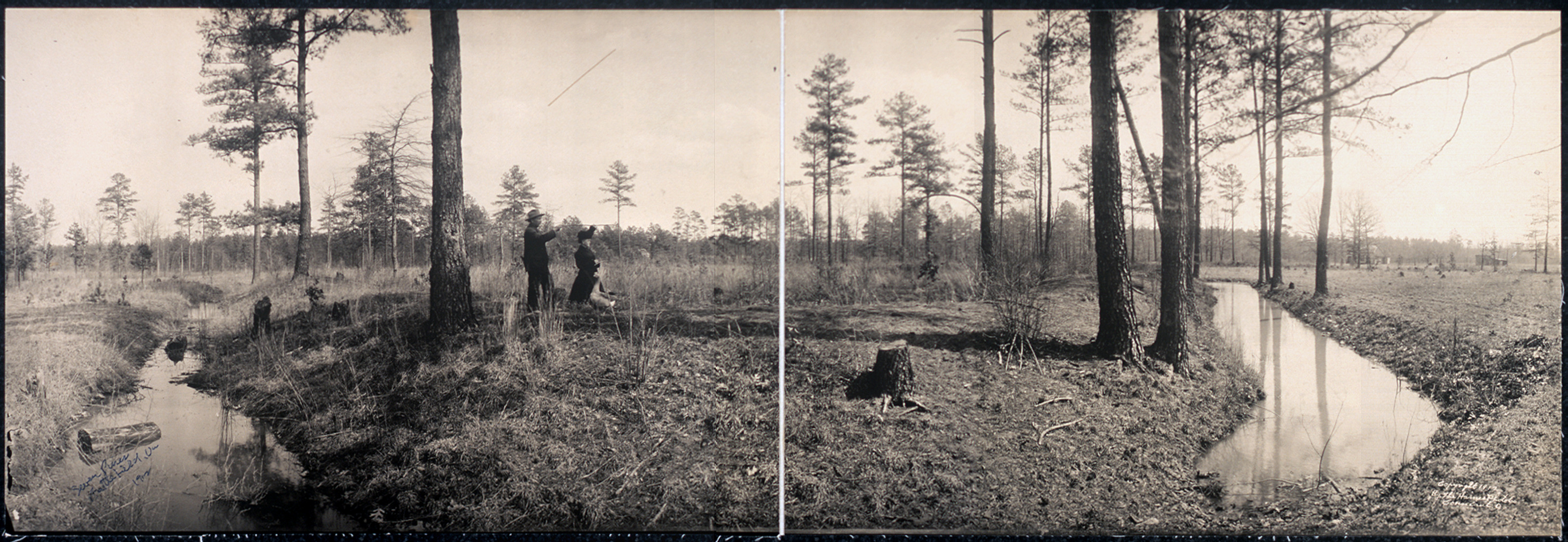 Seven Pines Battlefield Fair Oaks, Virginia, 1912, 1912 — historic image