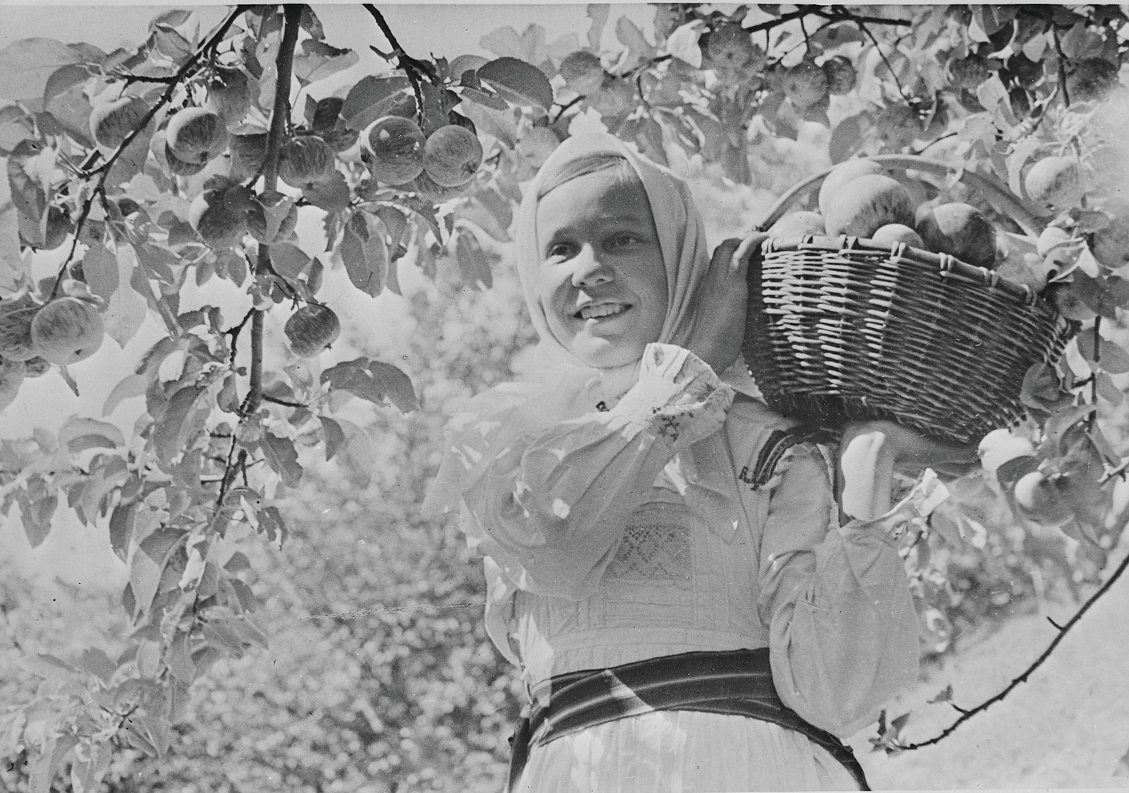 Smiling woman with headscarf carrying a basket of apples — historic image