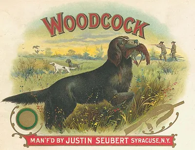 Woodcock cigar label with hunting dog and gunners