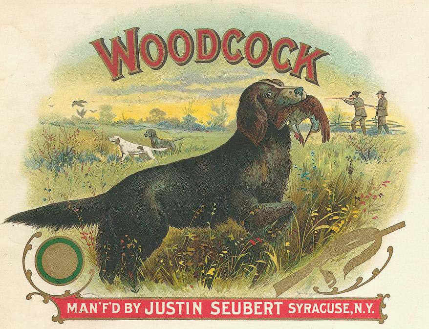 Woodcock cigar label with hunting dog and gunners — historic image