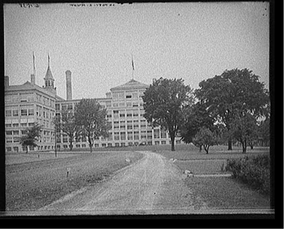 [Natural Food Company Conservatory building, Niagara Falls, N.Y.], [between 1900 and 1910] — historic photograph