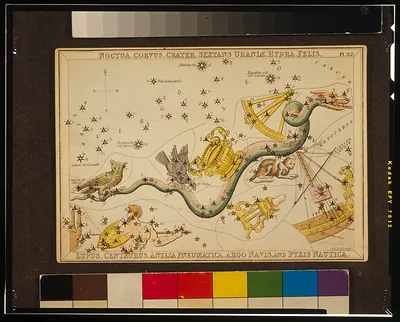 Noctua, Corvus, Crater, Sextans Uraniæ, Hydra, Felis, Lupus, Centaurus, Antlia Pneumatica, Argo Navis, and Pyxis Nautica / Sidy. Hall, sculpt.