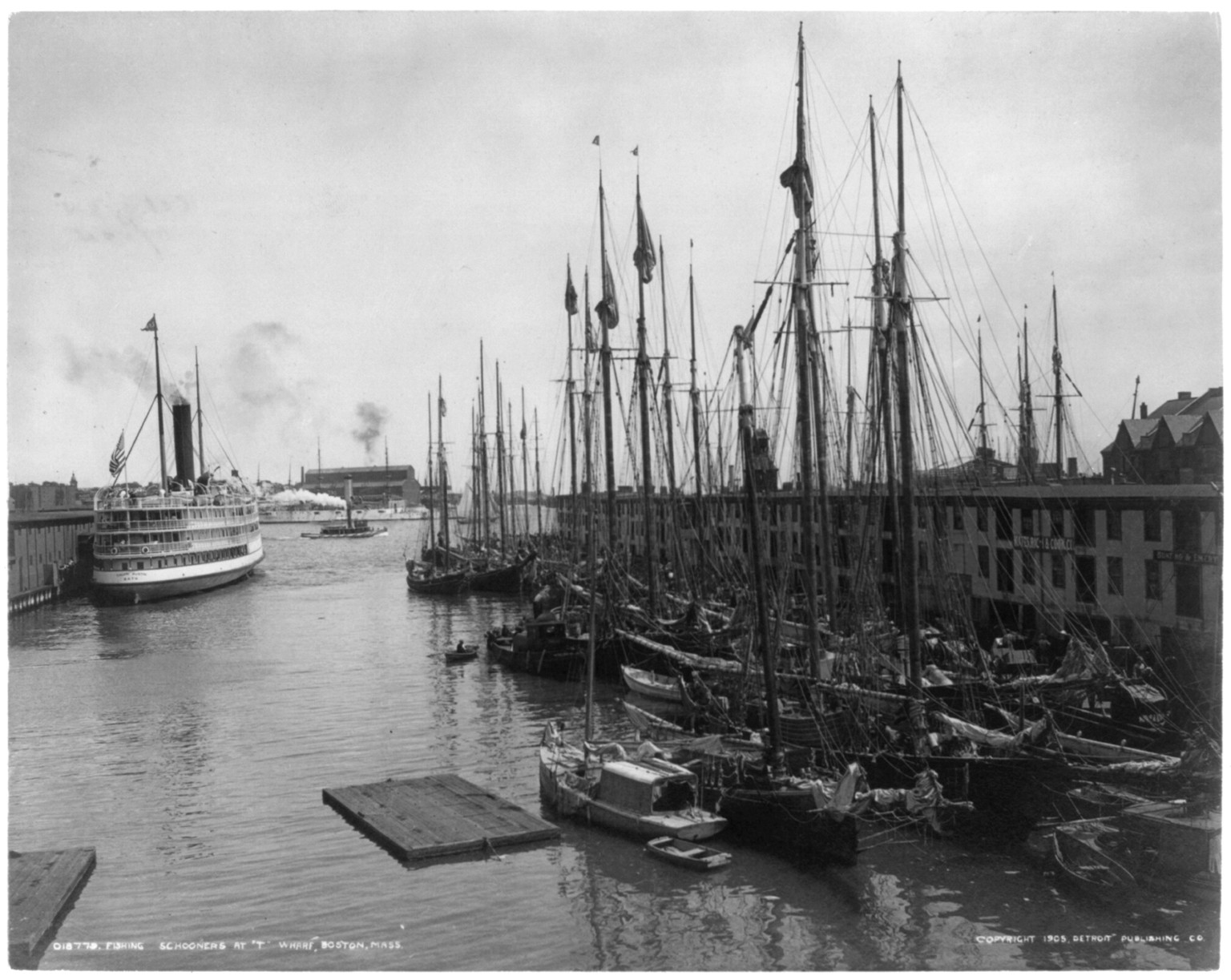 Fishing schooners at T" Wharf Mass.", c1905. — historic photograph