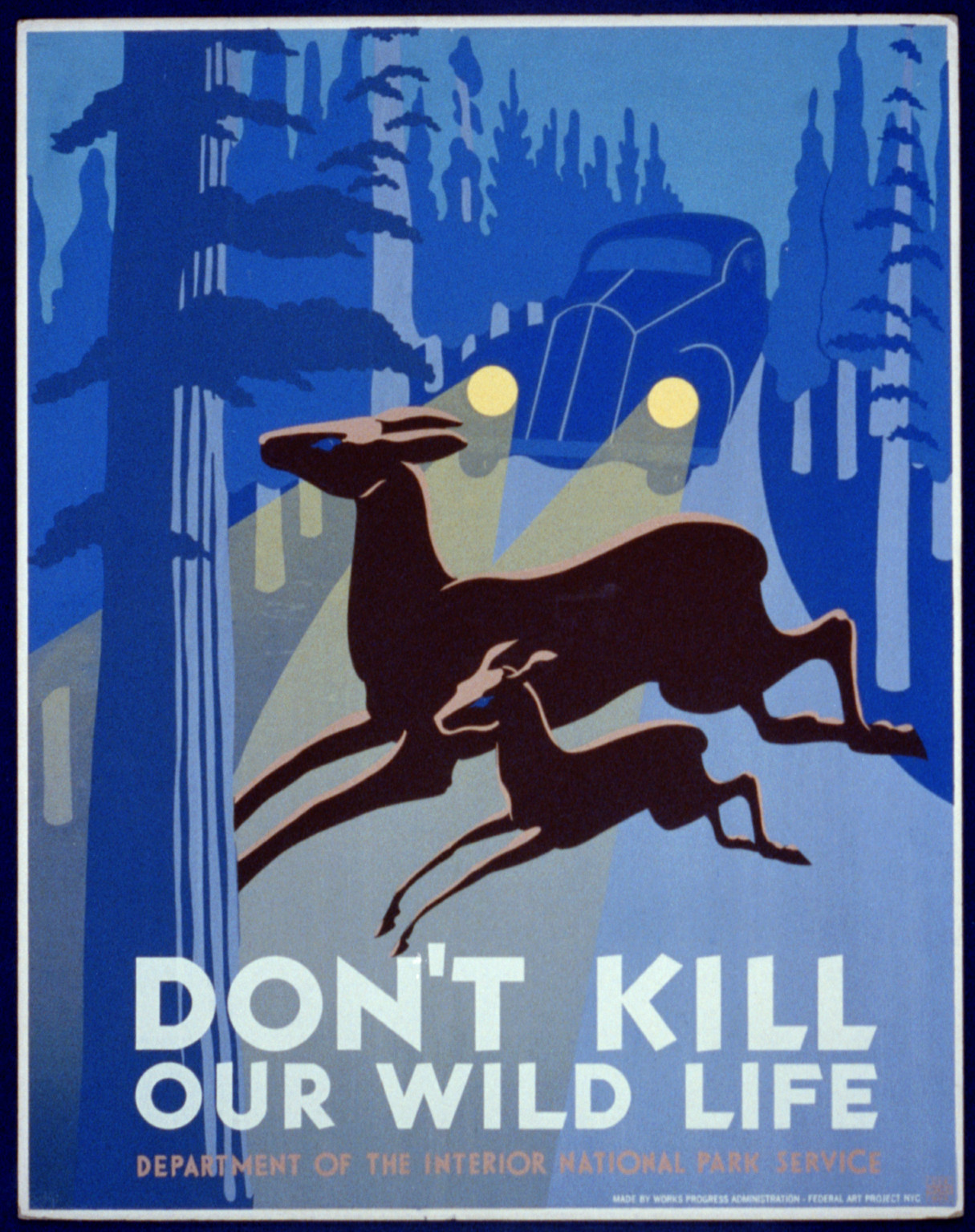 Don't kill our wild life, NYC : Works Progress Administration, Federal Art Project, [between 1936 and 1940] — vintage poster