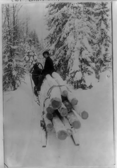 [Man hauling spruce logs on horse-drawn sled, Finland]