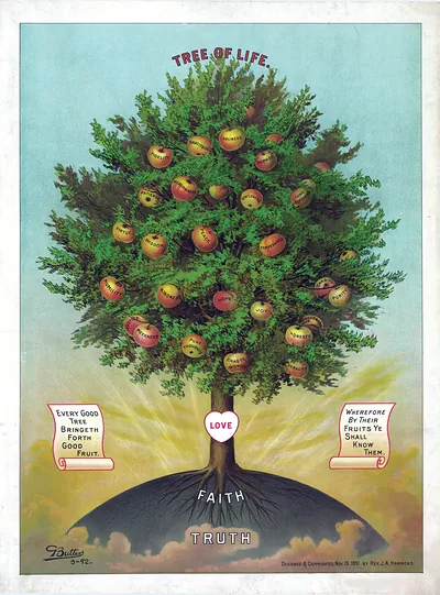 Tree of Life