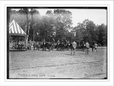 Plainfield Horse Show, horses and drivers lined up before judges