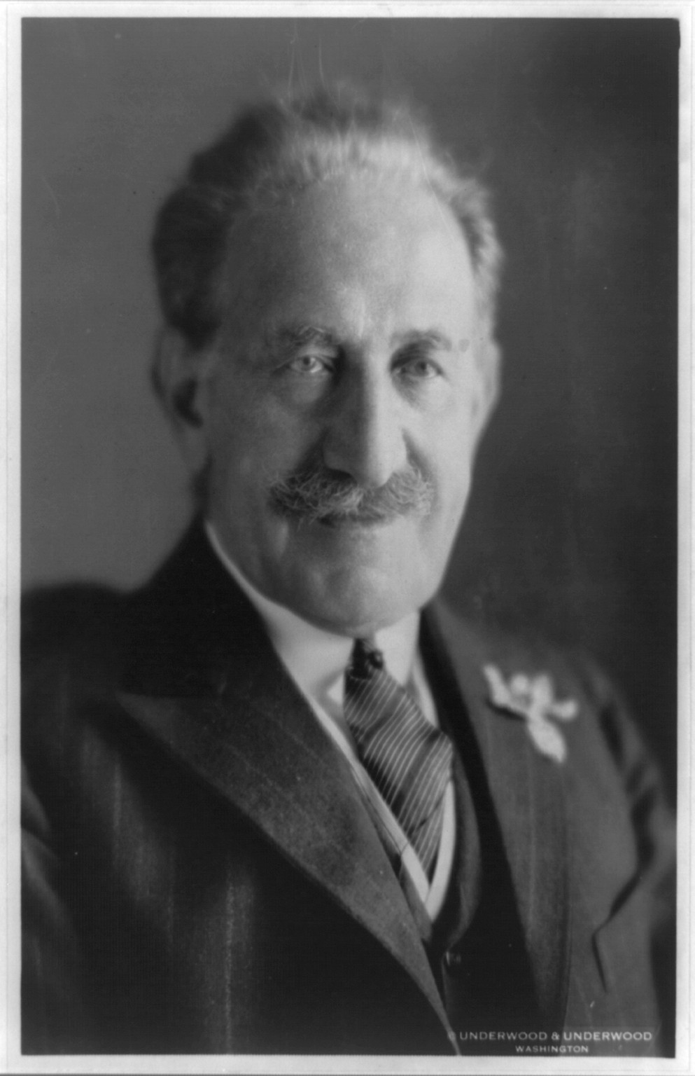 Samuel Untermyer, 1932 April 14. — historic photograph