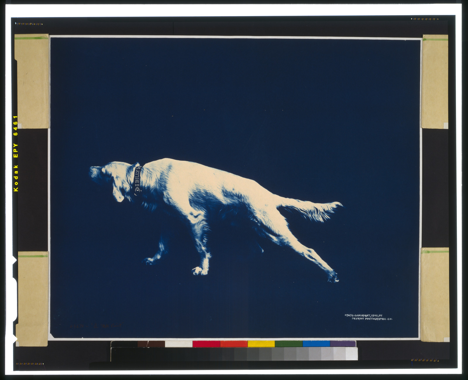 A Stiff Point"", c1902. — historic photograph