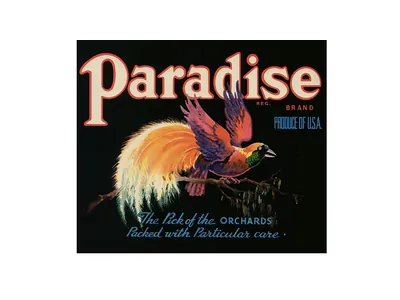 Paradise Brand fruit crate label with bird of paradise