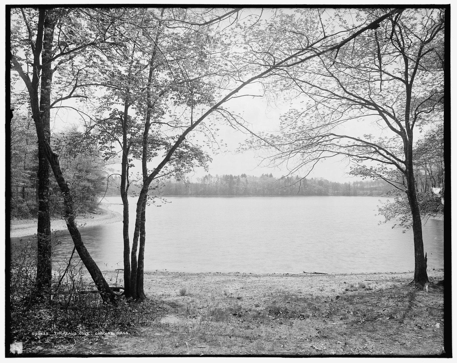 Thoreau's Cove, Concord, Mass., c1908. — historic photograph