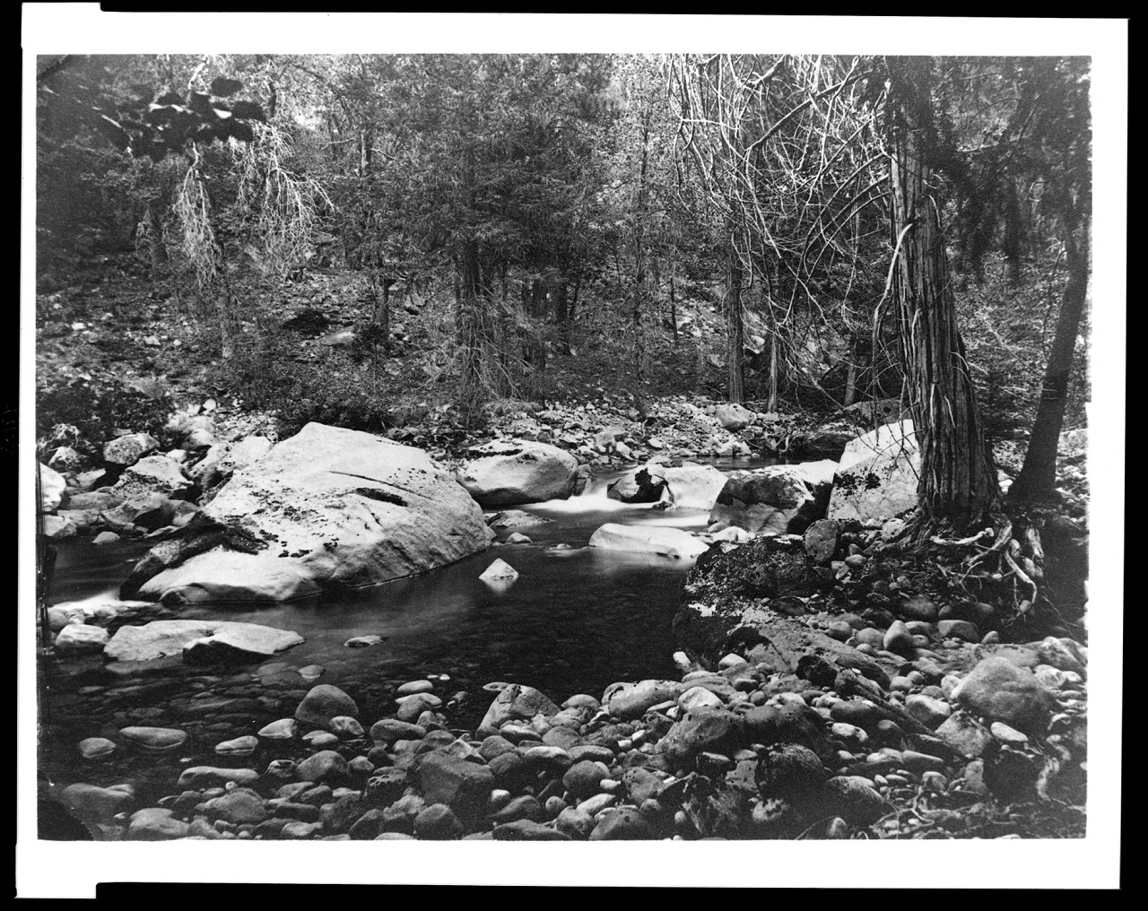 [A rocky stream at Yosemite National Park, Calif.], [ca. 1860] — historic photograph