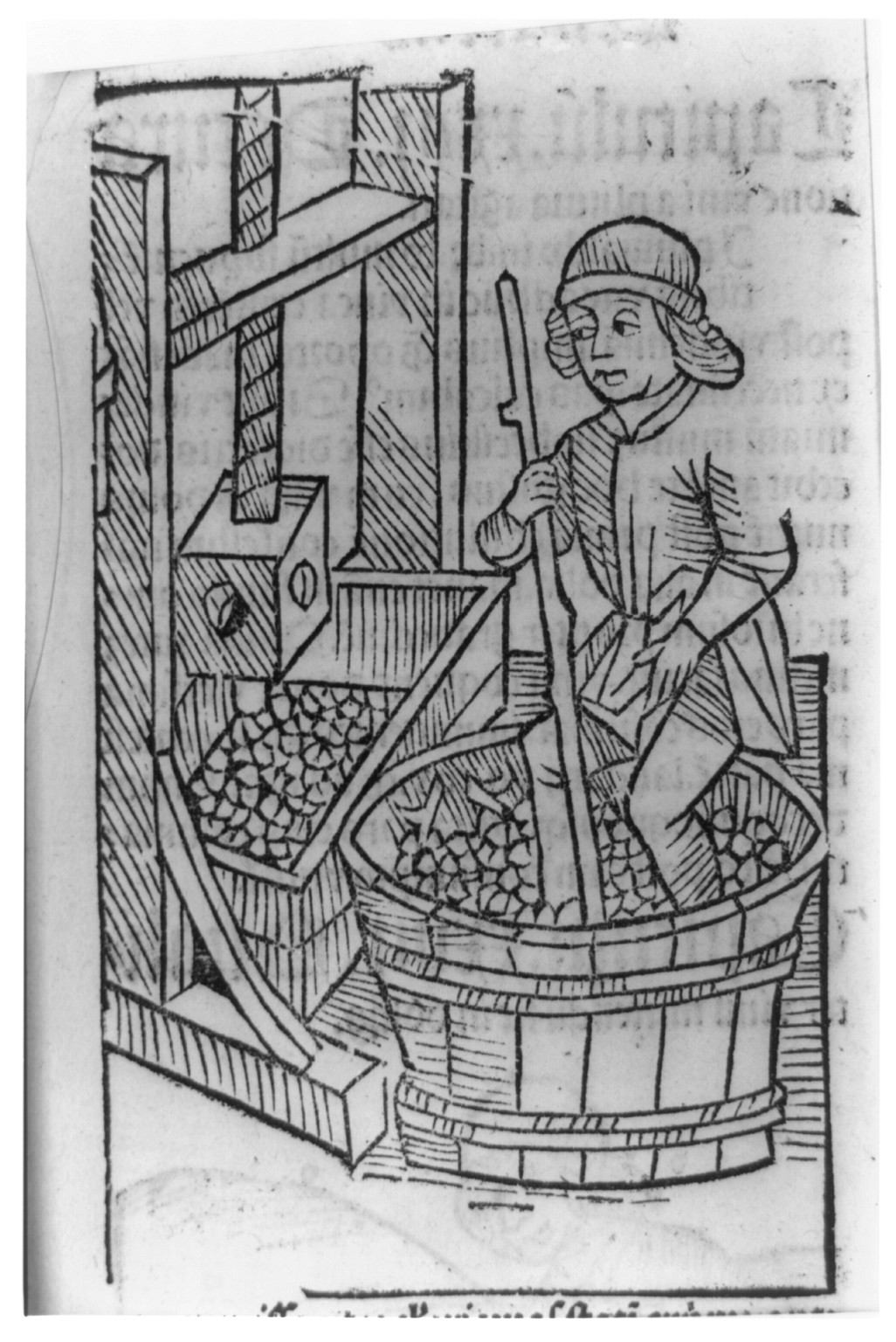 [Viticultural scenes - man crushing grapes in vat with his feet], 1493 — historic print