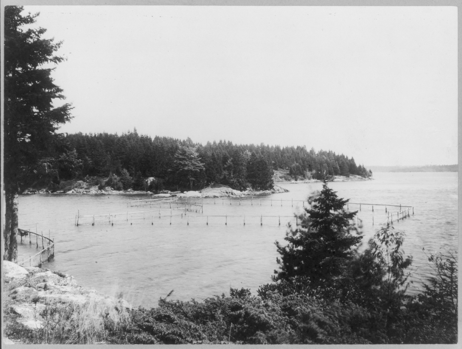 Murray Hill and Black Warrior, Damariscotta River, Maine, c1910 Feb. 8. — historic photograph