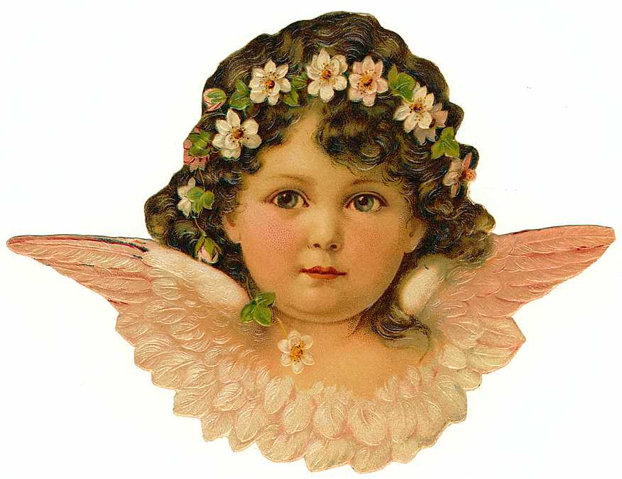 Victorian cherub angel with flowers in hair and wings — historic image