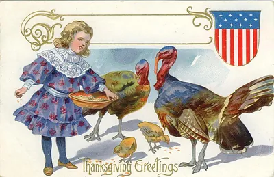 Thanksgiving Greetings postcard with girl and turkeys