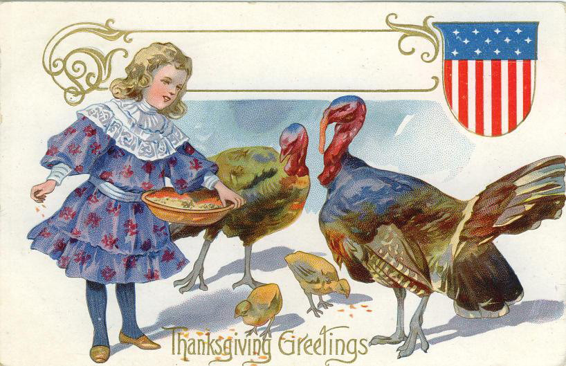 Thanksgiving Greetings postcard with girl and turkeys — vintage postcard