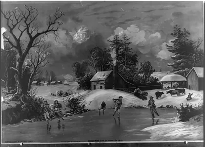 American winter life