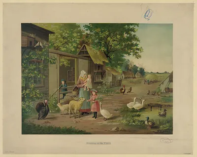Evening on the farm