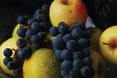Still life of grapes and apples